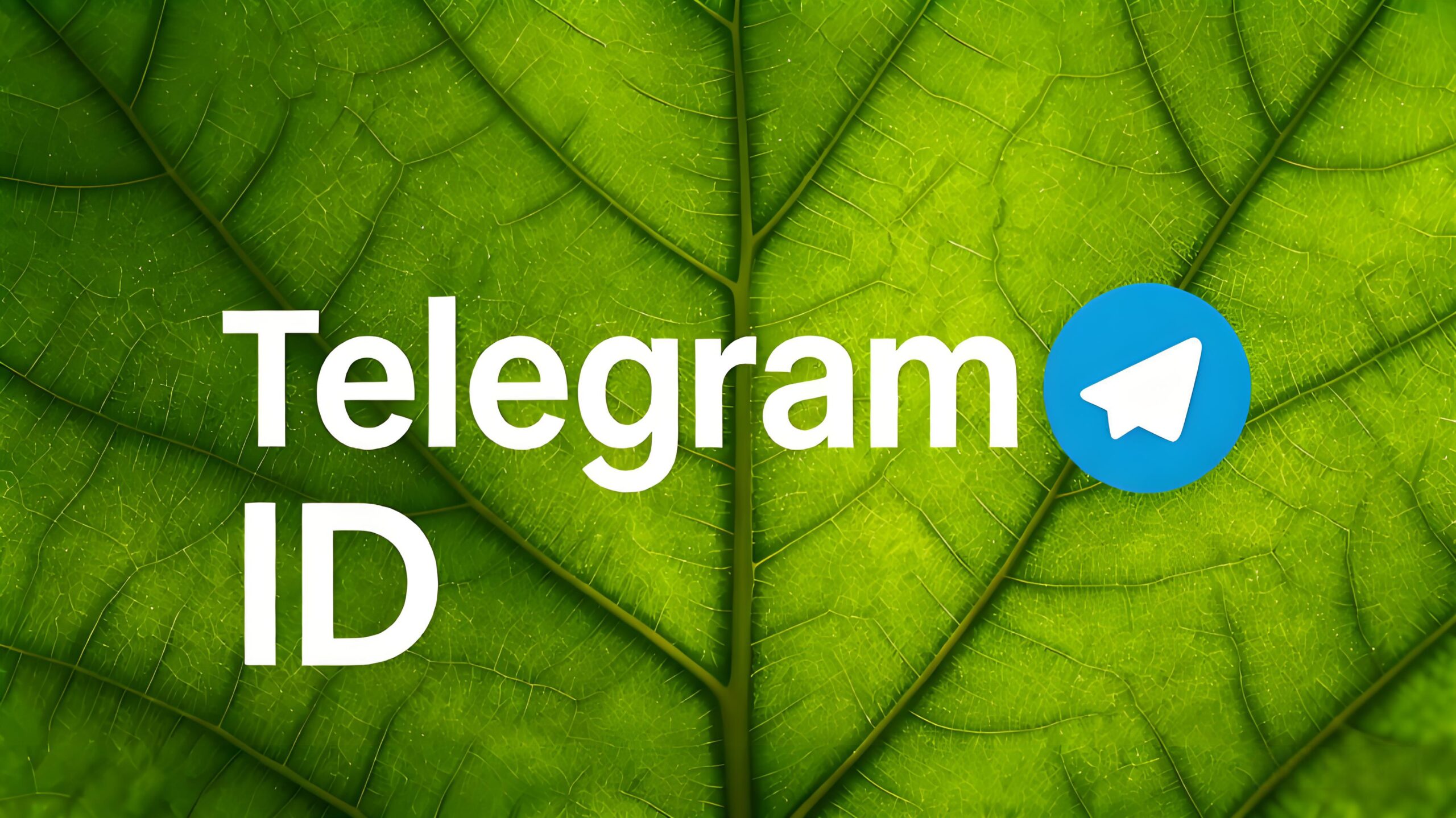 Telegram ID能泄露隐私吗？经验分享