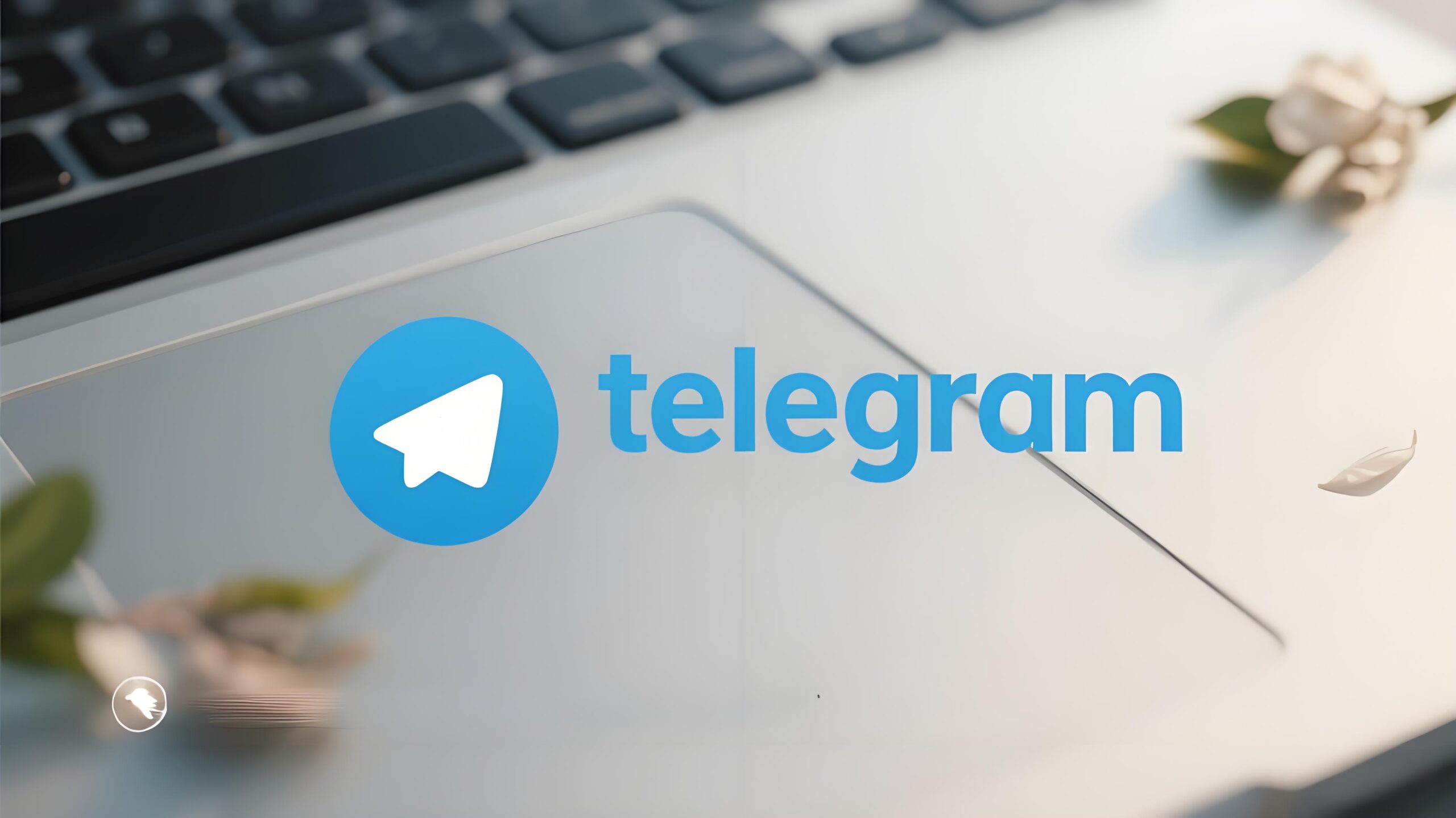 Telegram 新功能抢先体验教程：教你开启最新版隐藏玩法的完整攻略